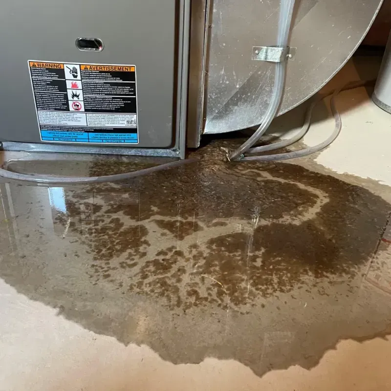 Appliance Leak Cleanup in Kodiak Island Borough, AK